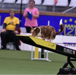 Teeter Course!