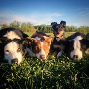 Calm, Cool, Collected