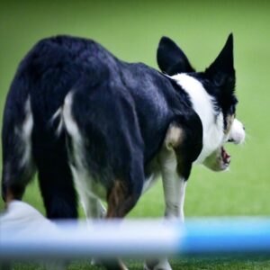 Small Space Sequencing